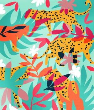Chasing The Cheetah